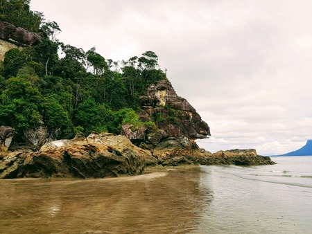 Jungel og strand