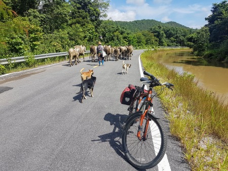 Sykkeltur i Thailand